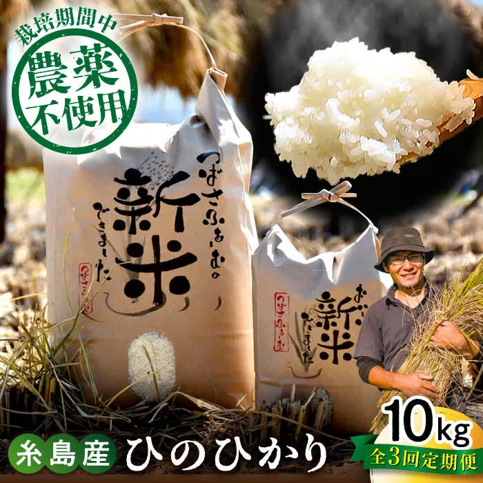 【全3回定期便】 糸島産 雷山のふもとの米 農薬不使用 10kg 糸島市 / ツバサファーム [ANI006] 白米 玄米