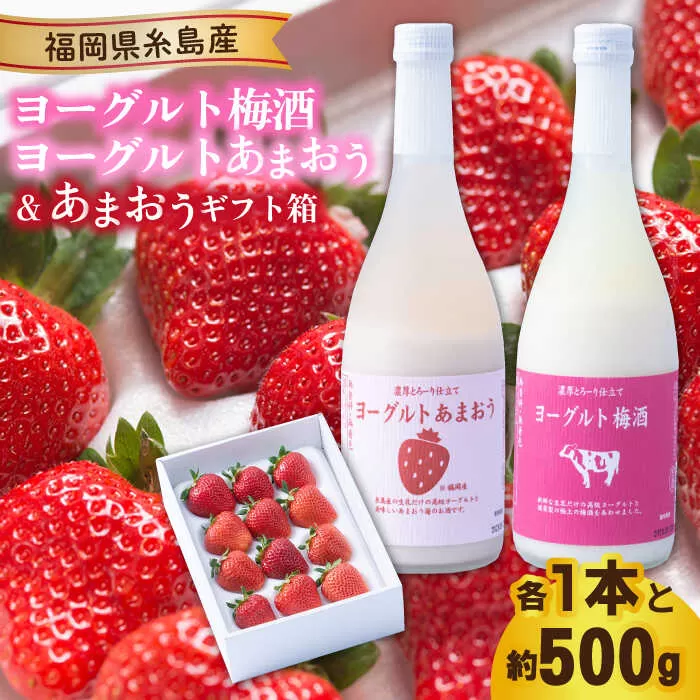 【先行予約】ヨーグルトあまおう＆ヨーグルト梅酒 各720ml×あまおうギフト箱入り （12-15粒）【2025年12月上旬以降順次発送】 糸島市 / 南国フルーツ株式会社 [AIK020]