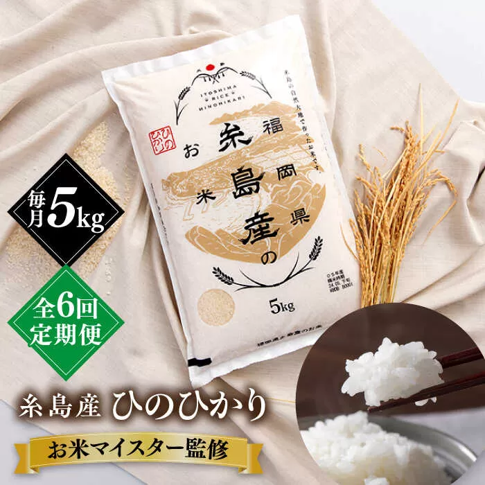 【全6回定期便】【こだわり精米】糸島産 ひのひかり 5kg 糸島市 / RCF 米 お米マイスター [AVM007]