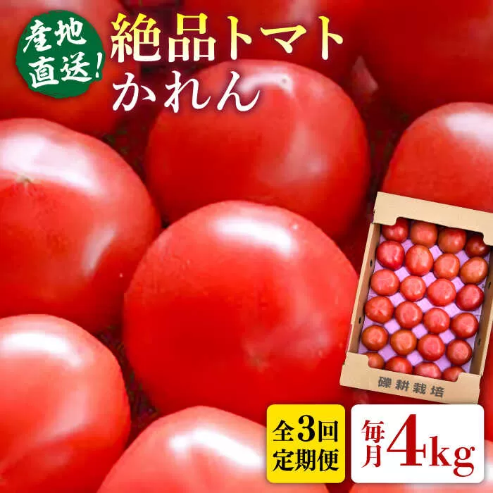 【全3回定期便】糸島産 絶品トマト かれん (4kg28玉前後) 糸島市 / シーブ 野菜 とまと 大玉トマト [AHC066]