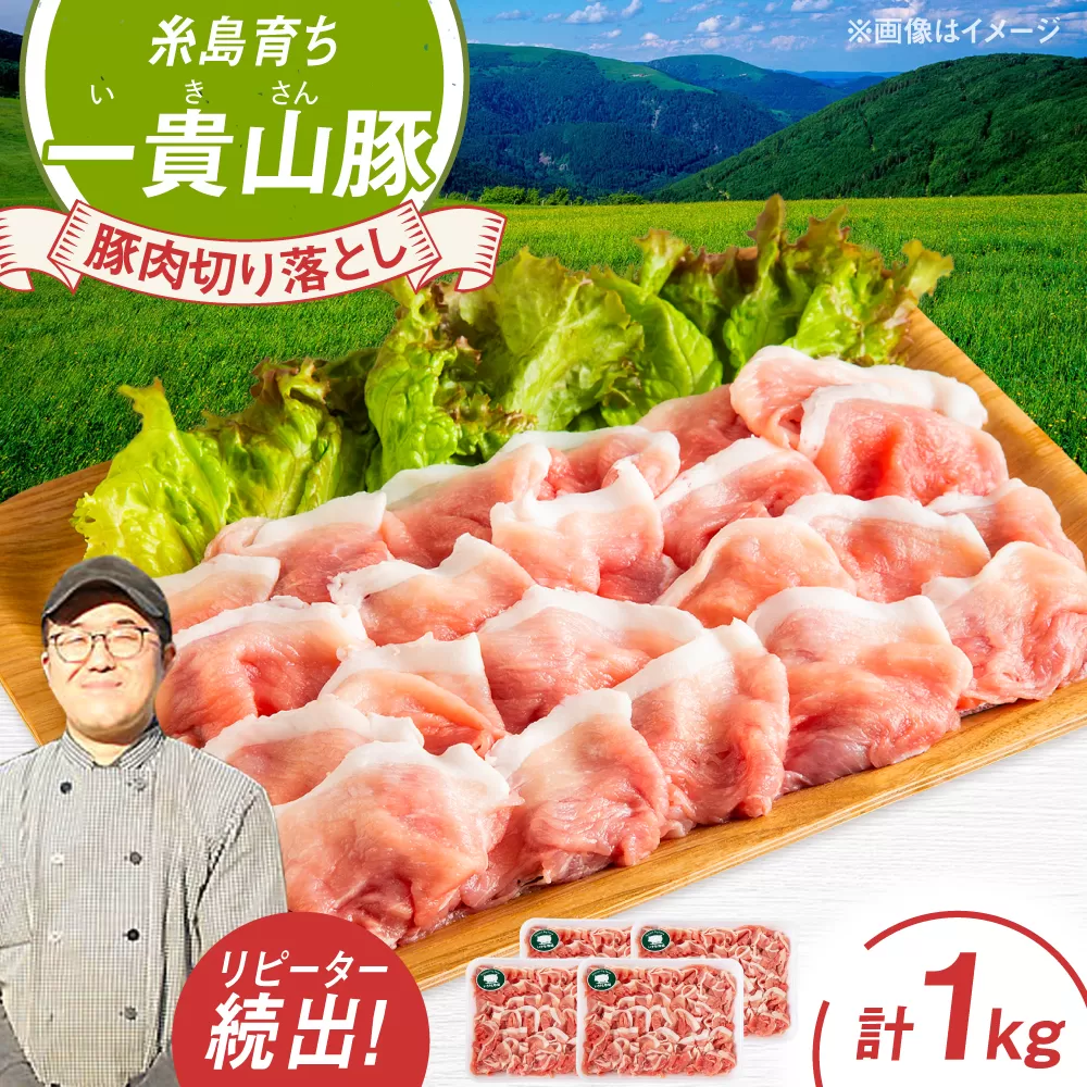 一貴山豚 切り落とし 計1kg(250g×4p)  糸島市 / いきさん牧場 豚肉 [AGB057] 豚肉 豚 ブランド豚 一貴山豚 ポーク 切り落とし 肉 250g