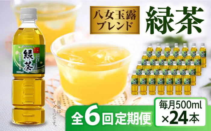 【全6回定期便】八女 玉露入り 緑茶 500ml × 24本  糸島市 / スターナイン お茶 ペットボトル [ARM016]