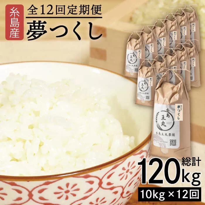 【全12回 定期便】 糸島産 夢つくし 10kg × 12回（月1回）糸島市 / 糸島王丸農園 ( 谷口汰一 )【いとしまごころ】[AAZ008]