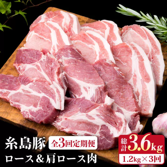 【全3回定期便】糸島豚ロース肉6枚 肩ロースカツ5枚 合計11枚セット《糸島》【糸島ミートデリ工房】 [ACA229] 国産 糸島 豚肉 豚 ロース 肩ロース トンカツ トンテキ