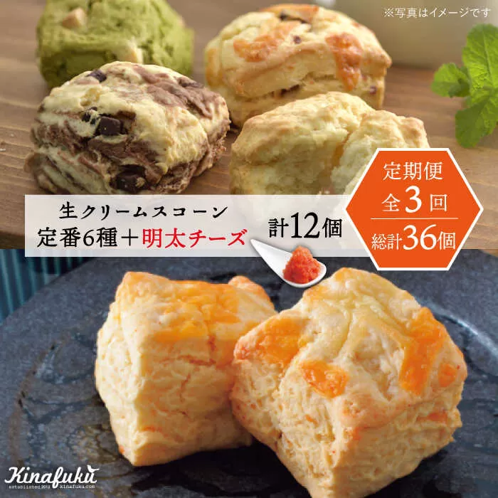 【全3回定期便】 定番 スコーン + 明太 チーズ スコーン 計 12個 セット 糸島市 / スコーン専門店キナフク 焼き菓子 焼菓子 洋菓子 スイーツ パン [AFA024]