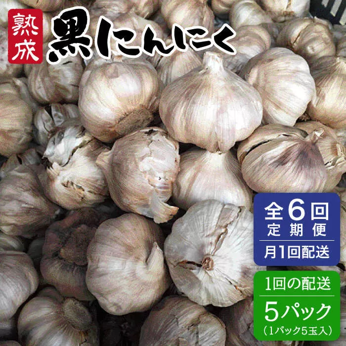 【 全6回 定期便 】熟成 黒にんにく 25玉 （ 1パック 5玉 × 5パック ） 《糸島》 【シーブ】 [AHC039]