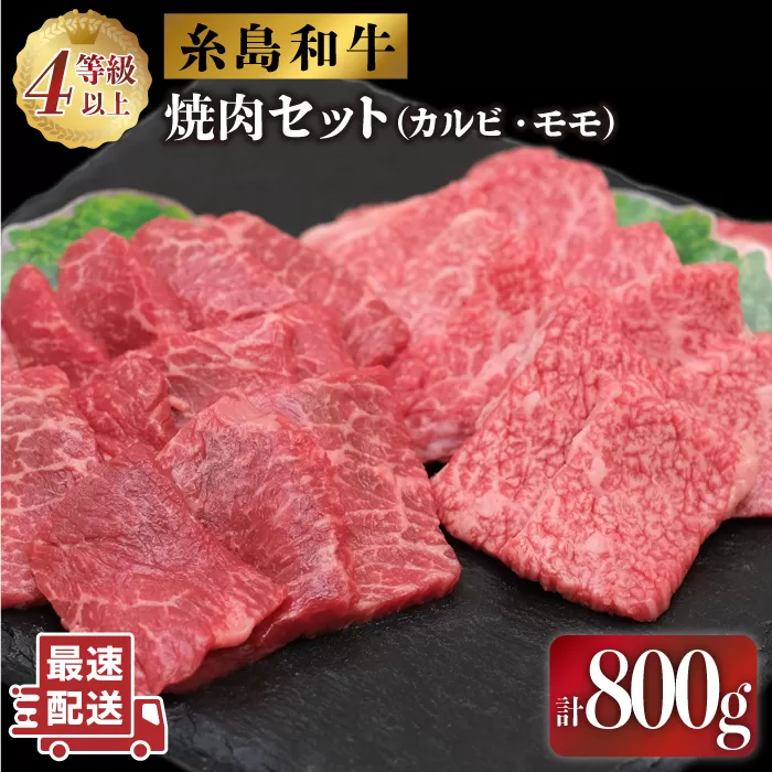 JA糸島 黒毛和牛 焼肉 セット カルビ モモ 800g 糸島市 / JA糸島産直市場 伊都菜彩 [AED008]