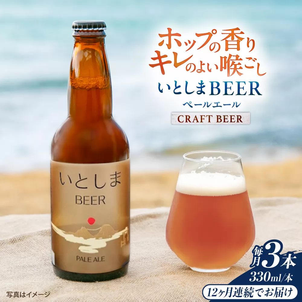【全12回定期便】 いとしまBEER (ペールエール) 330ml×3本 糸島市 / 蔵屋 クラフトビール [AUA049]