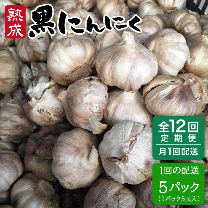 【 全12回 定期便 】熟成 黒にんにく 25玉 （ 1パック 5玉 × 5パック ） 《糸島》 【シーブ】 [AHC040]