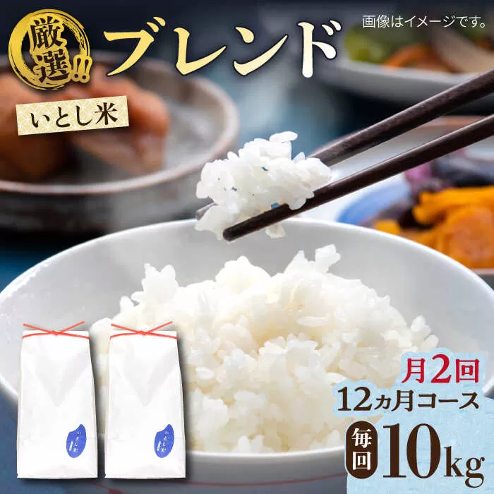 【月2回お届け】【全24回定期便】いとし米 厳選ブレンド 10kg 12ヶ月コース(糸島産) 糸島市 / 三島商店 [AIM061]