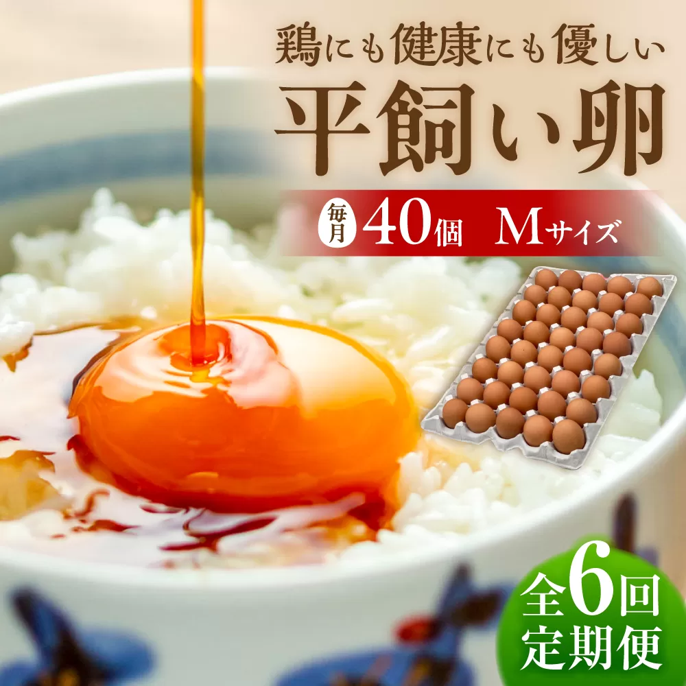 【 全6回 定期便 】 こだわり の 卵 「 天上卵 」 40個 セット 《糸島》【株式会社おおはまファーム】[AKH007]