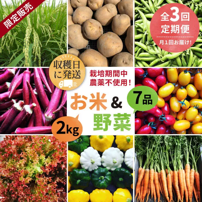 【全3回定期便】【☆畑直送☆限定販売！栽培期間中農薬不使用！】お 米 2kg & 野菜 7品 の セット 糸島市 / オーガニックナガミツファーム [AGE036]