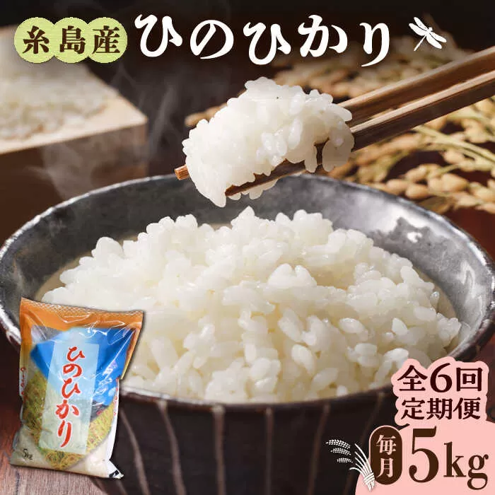 【全6回定期便】糸島産 ひのひかり 5kg×6回 糸島市 / 三島商店 [AIM009]