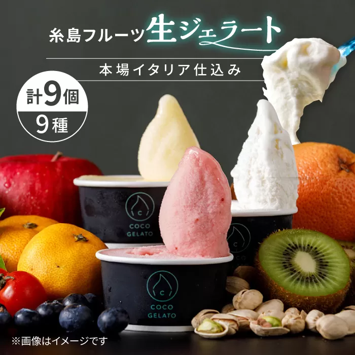 糸島 フルーツ 生ジェラート 9個セット 糸島市 / COCO GELATO [AON001] ジェラート フルーツ 果物 アイス アイスクリーム 濃厚