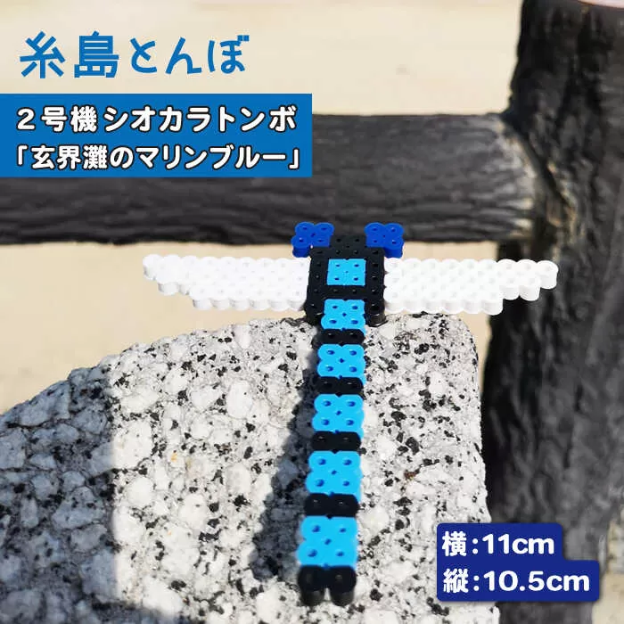 二号機 ： 玄界灘 の マリンブルー シオカラトンボ 《糸島》【糸島とんぼ】 [APK003]