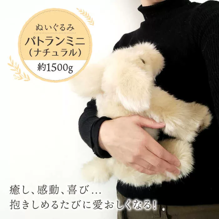 パトランミニ・ナチュラル 糸島市 / 科学工房未来 犬 ペット ぬいぐるみ [AYI007]