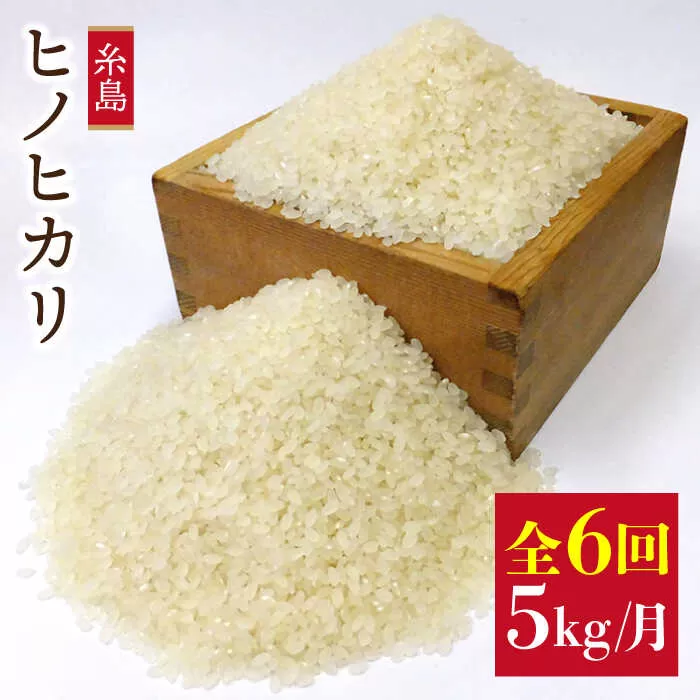 【全6回定期便】 ヒノヒカリ 5kg 福吉産 お米 栽培期間農薬不使用 糸島 / 二丈赤米産直センター [ABB012] ひのひかり 米
