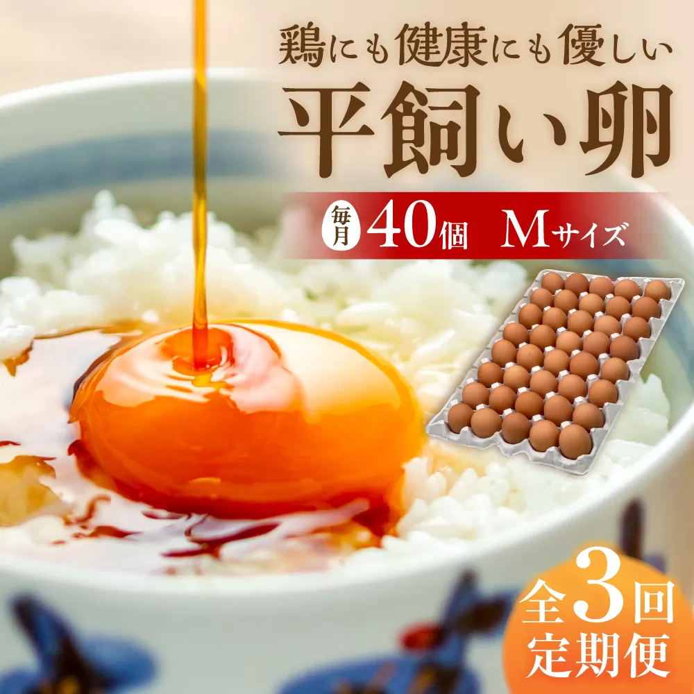 【 全3回 定期便 】 こだわり の 卵 「 天上卵 」 40個 セット 《糸島》【株式会社おおはまファーム】[AKH006]