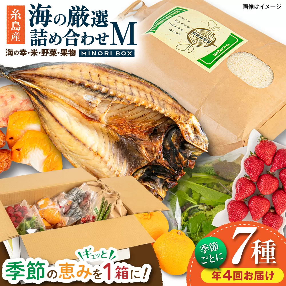 【全4回定期便】糸島産 魚 米 野菜 果物 厳選詰め合わせ MINORI BOX Mサイズ【季節ごとに年4回お届け】 糸島市 / emma.Inc / 米 魚 野菜 果物 詰め合わせ [AOP005]