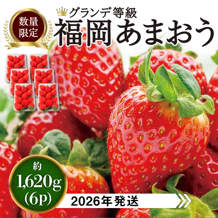 【先行予約】あまおう いちご 1,620g (約270g×6パック) 【2026年3月初旬より順次発送】 糸島市 / 株式会社HSP-テクノ [AZL002]
