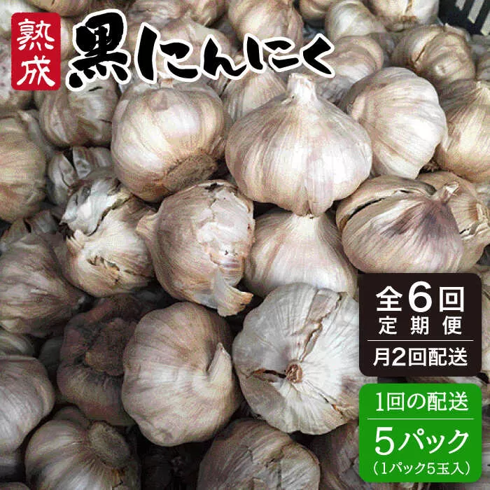 【全6回(月2回)定期便】【 頒布会 】熟成 黒 にんにく 定期 コース  5パック《糸島》【シーブ】[AHC004]