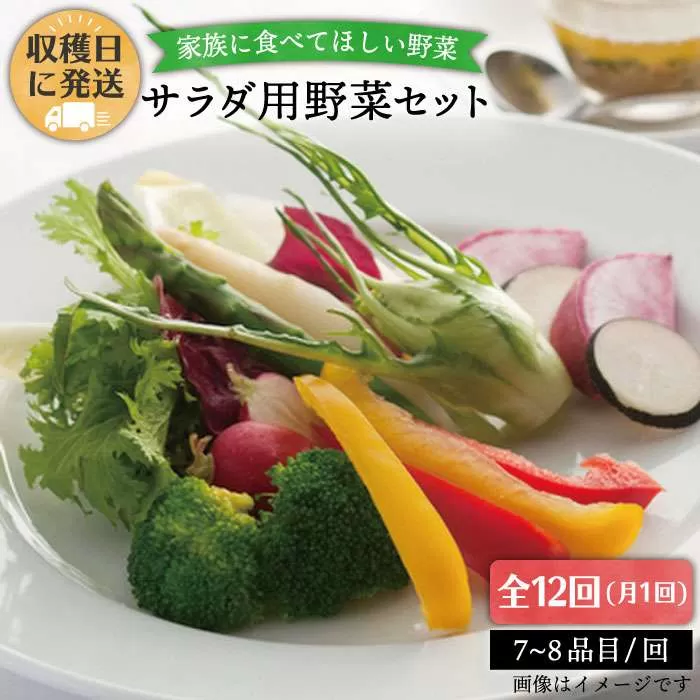 【 全12回 定期便 】 【 福岡県 糸島産 】 朝採れ サラダ用 野菜 セット 《糸島》【オーガニックナガミツファーム】 [AGE011]