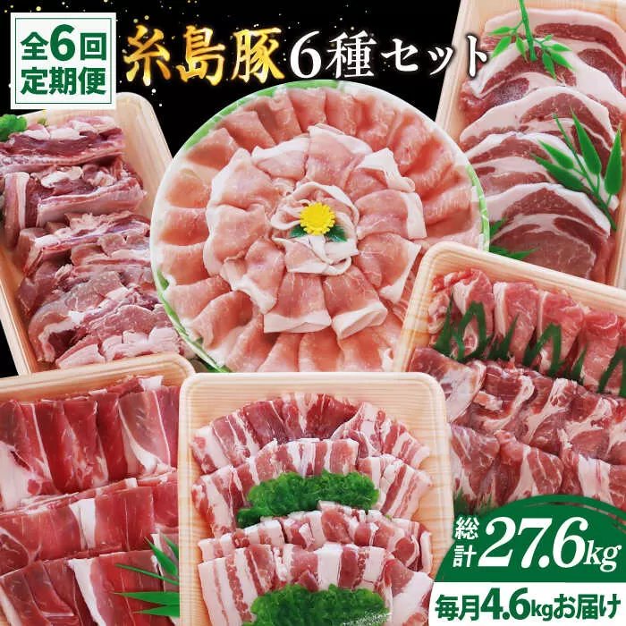 【全6回定期便】計4.6kg！糸島豚 食べ尽くしセット ( とんかつ / 肩ロース / しゃぶしゃぶ / 豚バラ / スペアリブ / 小間切れ ) 糸島市 / トラヤミートセンター [AJD013]