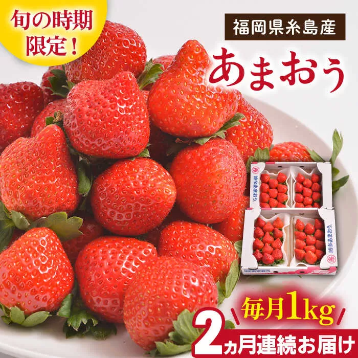 【先行予約】【全2回定期便】 糸島産【冬】 あまおう 4パック 毎月計1kg 【2025年12月上旬以降順次発送】糸島市 / 南国フルーツ株式会社 [AIK024]