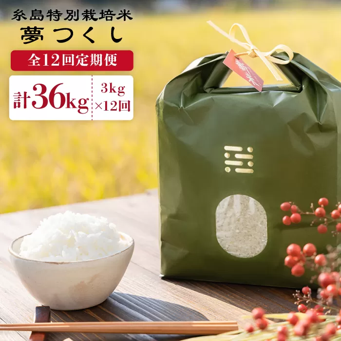 【全12回定期便】とくべつの中のとくべつ 糸島 特別栽培米 3kg （ 夢つくし ） 糸島市 / itoshimacco / 株式会社やました [ARJ024]