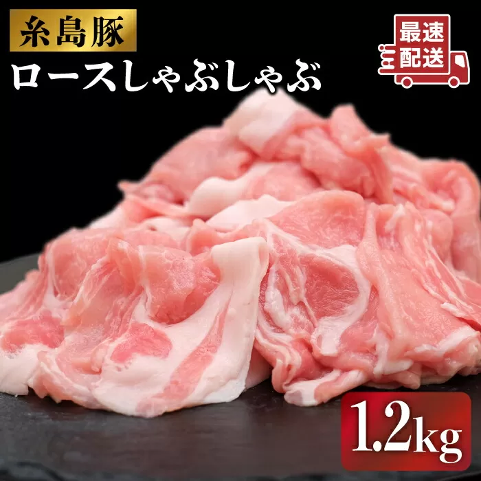 糸島豚 ロース しゃぶしゃぶ セット 糸島市 / JA糸島産直市場 伊都菜彩[AED002]