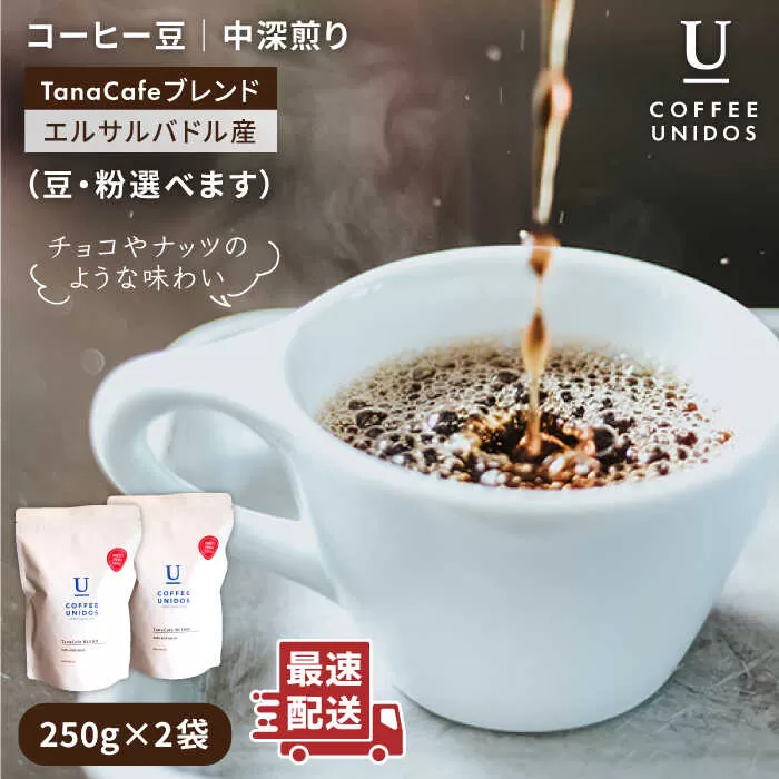 中深煎り コーヒー 豆 タナカフェブレンド 250g × 2袋（ 豆 ・ 粉 選べます ） 《糸島》 【COFFEE UNIDOS】 [AQF011]
