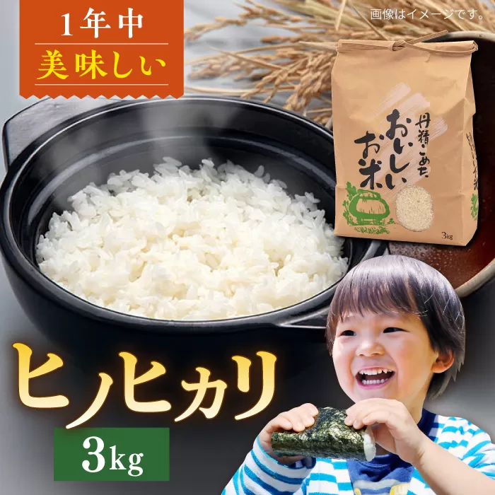 糸島産 ヒノヒカリ 3kg 糸島市 / 平山農園 米 白米 ご飯 お米 3kg [AXN005]