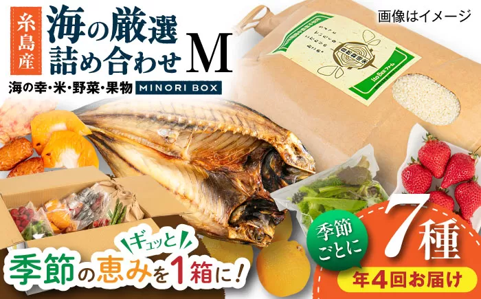[全4回定期便 令和7年産新米]糸島産 魚 米 野菜 果物 厳選詰め合わせ MINORI BOX Mサイズ[季節ごとに年4回お届け] 糸島市 / emma.Inc / 米 魚 野菜 果物 詰め合わせ [AOP005] 米 こめ 魚 さかな 野菜 やさい 果物 くだもの 糸島 詰め合わせ MINOR