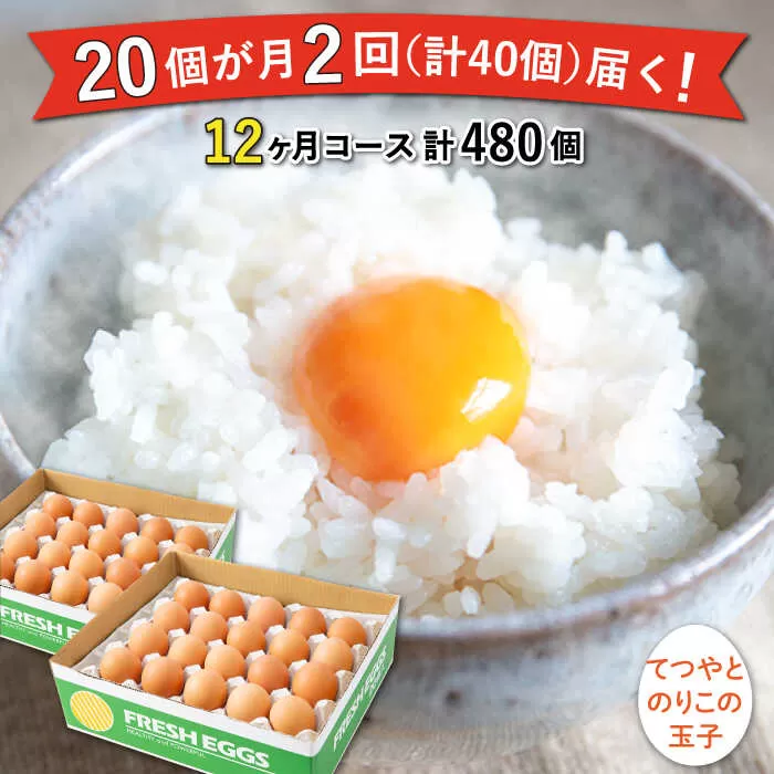 《月2回 × 20個 × 12ヶ月コース》てつやとのりこの玉子  全24回定期便 糸島市 / 板垣ファーム 卵 たまご 玉子 鶏卵 卵かけご飯 便利 定期便 定期購入 [AWD014] ランキング 上位 人気 おすすめ