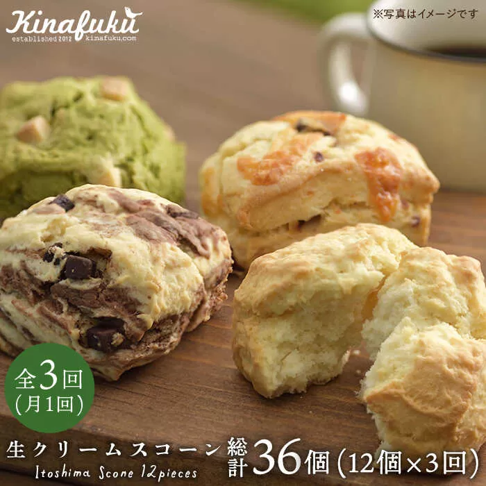 【 全3回 定期便 】 スコーン の イメージ 変えてみませんか？ 定番スコーン 12個 セット 《糸島》【キナフク】焼き菓子 焼菓子 洋菓子 スイーツ パン [AFA013]