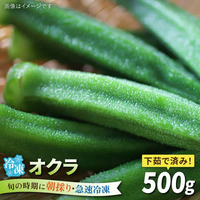 オクラ 500g 冷凍 旬の時期に急速冷凍 【福岡県糸島産】 糸島市 / オーガニックナガミツファーム 野菜 おくら [AGE044]