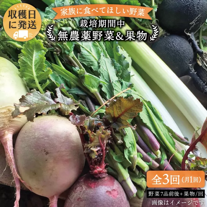 【 全3回 定期便 】 こだわり 野菜  ( 7品 前後 ) セット ＋ 果物 《糸島》【オーガニックナガミツファーム】 	[AGE007]