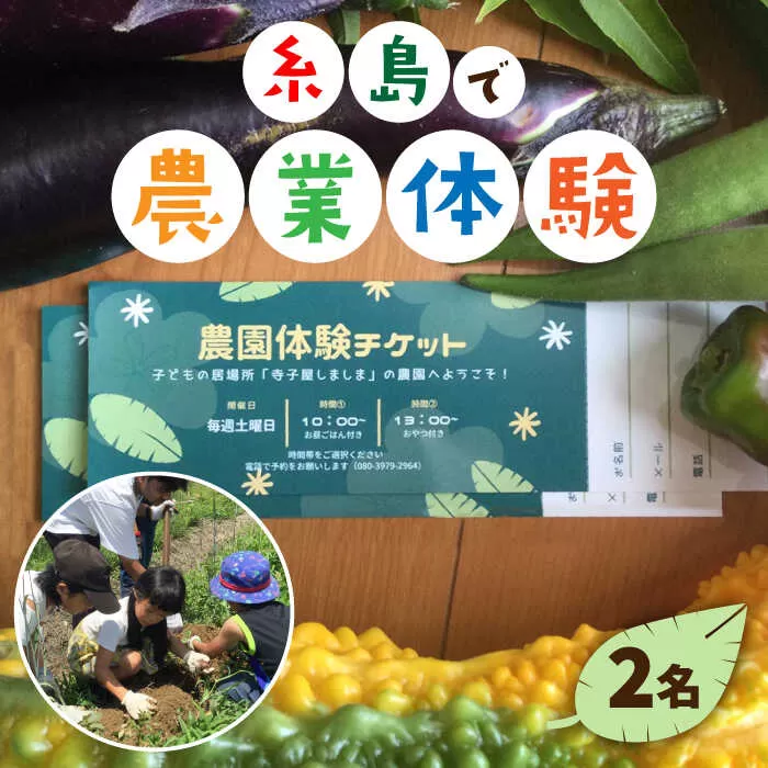 【ふるさと納税】糸島で農業体験(2名) 栽培期間中農薬不使用 無化学肥料 無除草剤の畑で野菜のお世話体験！ [AAL002]