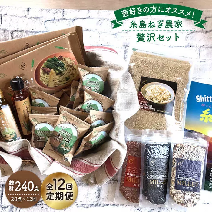 【全12回定期便】糸島ねぎ農家贅沢セット《糸島》【Carna】 [ALA040]