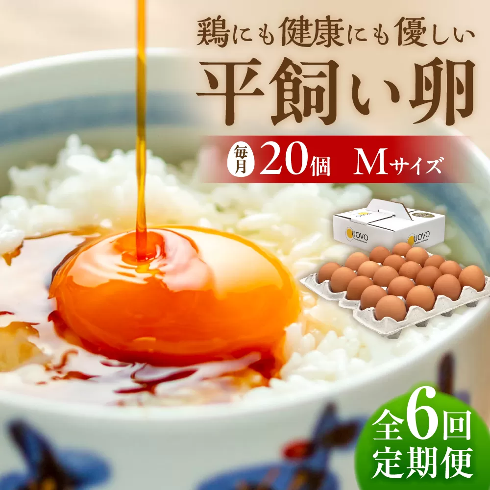【 全6回 定期便 】 こだわり の 卵 「 天上卵 」 20個 セット 《糸島》【株式会社おおはまファーム】 [AKH003]