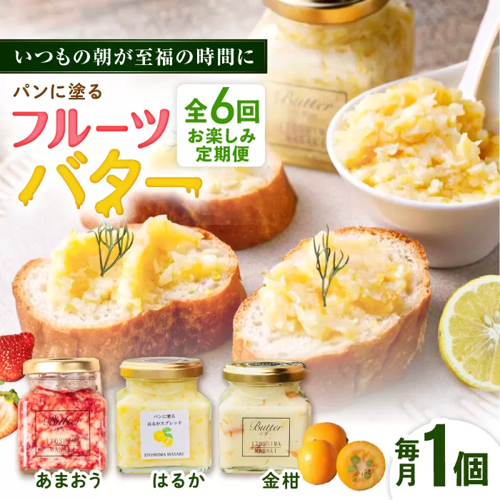 【全6回定期便】お楽しみ定期便 フルーツバター大1個 糸島市/糸島正キ ジャム クリーム 果物 [AQA063]