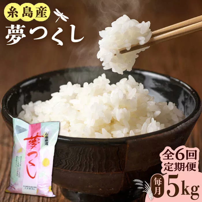 【全6回定期便】糸島産 夢つくし 5kg×6回 糸島市 / 三島商店 [AIM006]