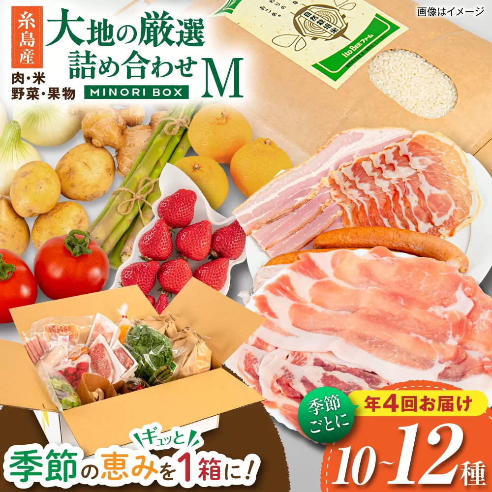 【全4回定期便】糸島産 肉 米 野菜 果物 厳選詰め合わせ MINORI BOX Mサイズ【季節ごとに年4回お届け】 糸島市 / emma.Inc / 米 肉 野菜 果物 詰め合わせ [AOP002]