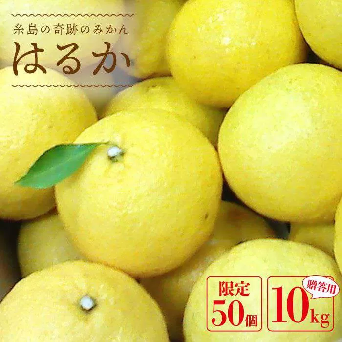 【先行予約】爽やかに甘い！ 糸島 産「 はるか 」  贈答 用 約10kg 【2025年3月より順次発送】 《糸島》【二丈赤米産直センター】 [ABB002]