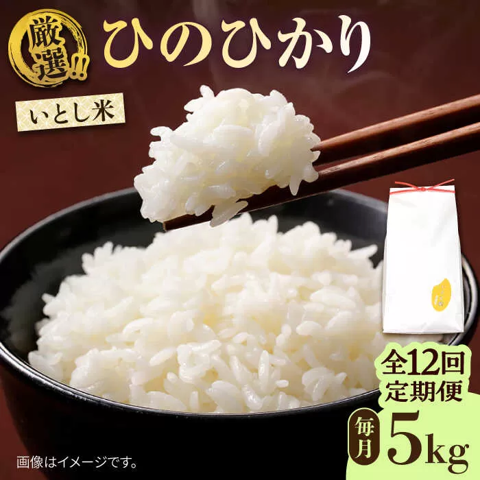 【全12回定期便】糸島産 いとし米 厳選ひのひかり 5kg 糸島市 / 三島商店 [AIM026]