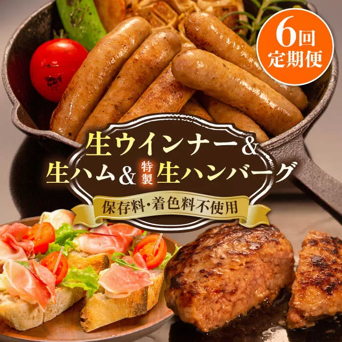 【全6回定期便】特製 生ハンバーグ 生ハム 生ウインナー 3種 セット 糸島市 / 志摩スモークハウス 肉 加工品 [AOA030]