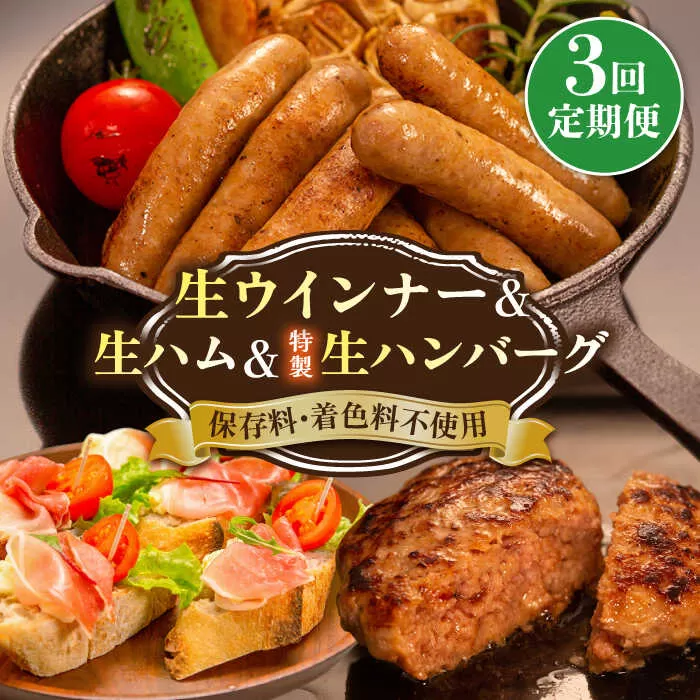【全3回定期便】特製 生ハンバーグ 生ハム 生ウインナー 3種 セット 糸島市 / 志摩スモークハウス 肉 加工品 [AOA029]