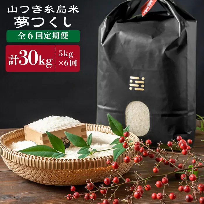 【全6回定期便】 糸島 で 農薬 を使わずに育てた 山つき 糸島米 5kg （ 夢つくし ） 糸島市 / 株式会社やました [ARJ012]