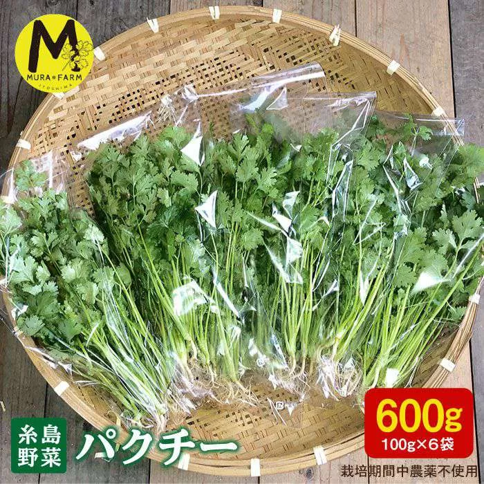 糸島産 パクチー 600g ( 100g × 6袋 )   糸島市 / MURA FARM [AFD001]