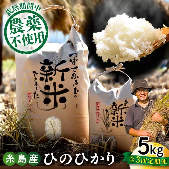 【全3回定期便】 糸島産 雷山のふもとの米 農薬不使用 5kg 糸島市 / ツバサファーム [ANI003] 白米 玄米